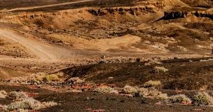 老大重伤，老三被交易，本以为你们要摆烂，老二却强势带队逆袭